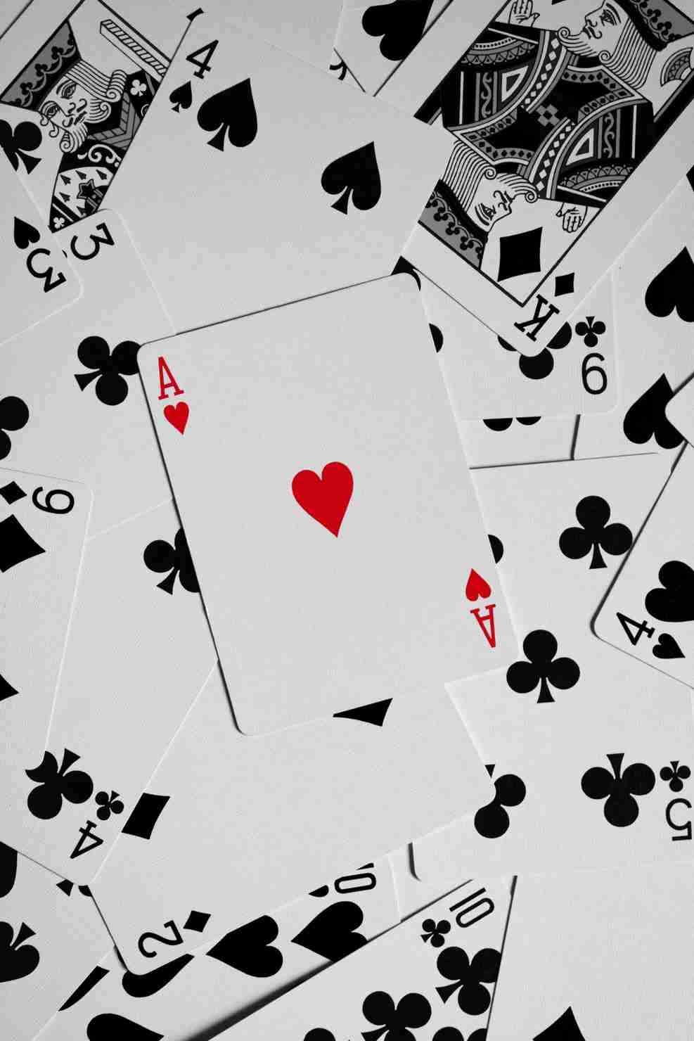 dolfwin casino app